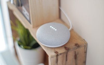 The Rise of Voice Search