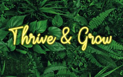 Thrive & Grow Your Business Post Lockdown