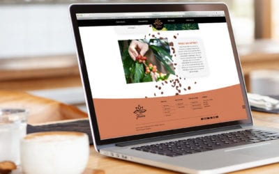 Start-up business: What sort of website do I need?